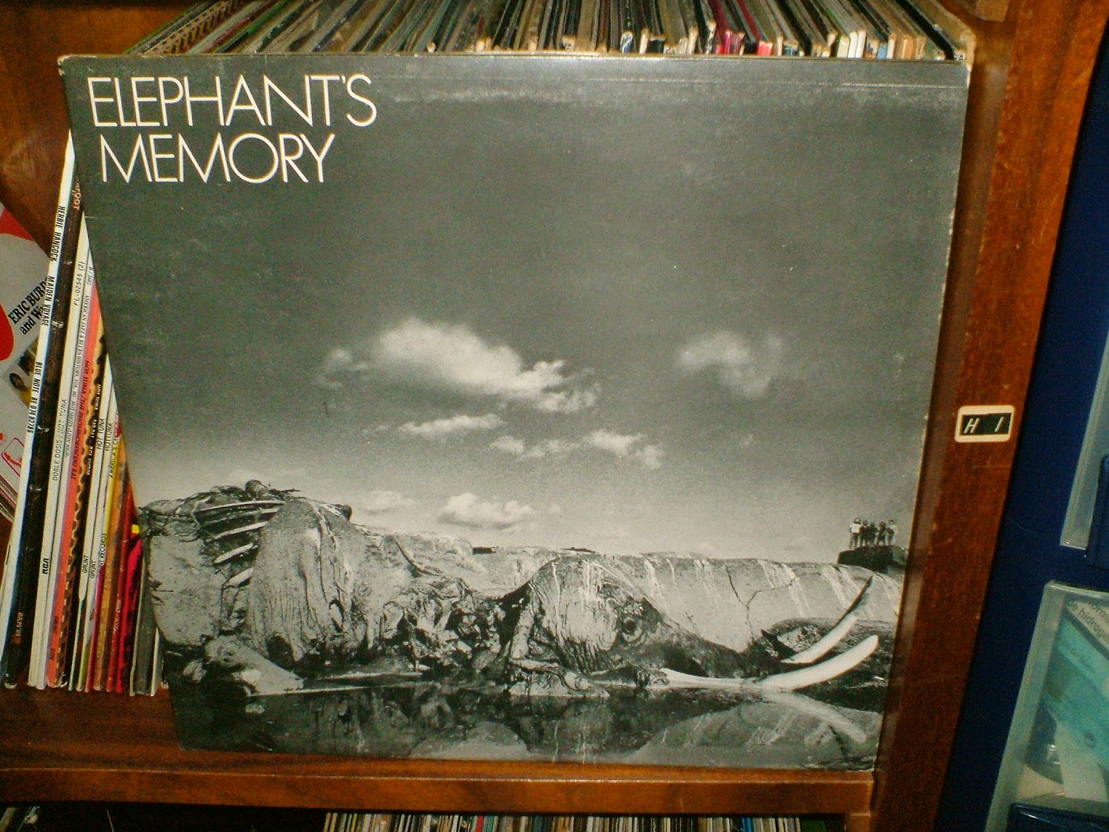 Rock Vinyl