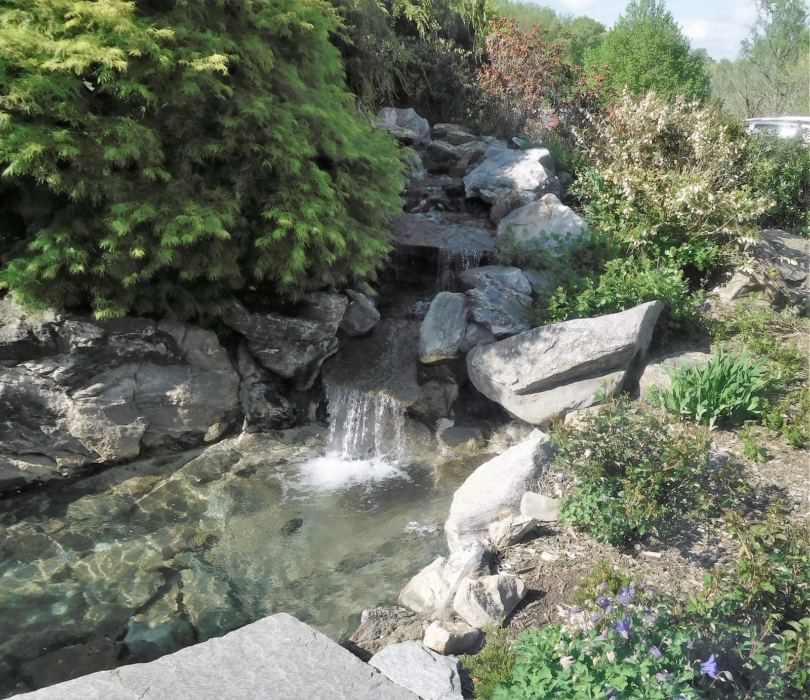 Fifty, not Frumpy: New Jeans