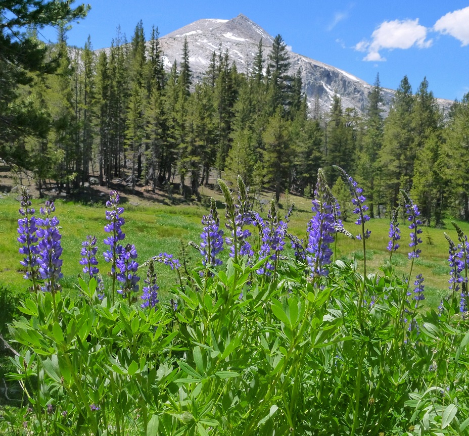 Peaks For Freaks: Koip Peak, Kuna Peak