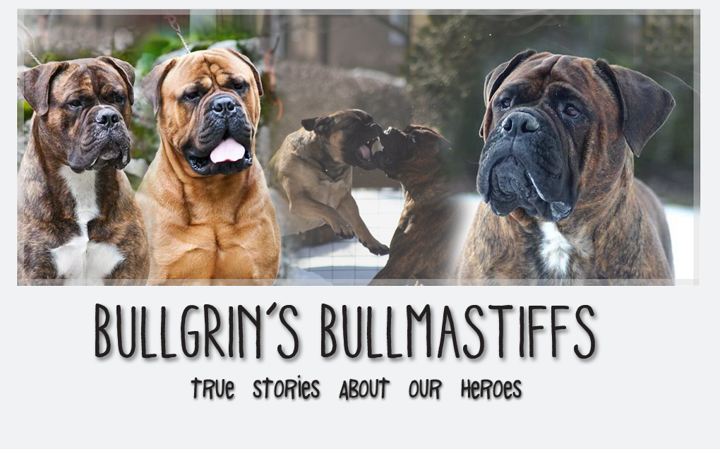 Bullgrin's Bullmastiffs