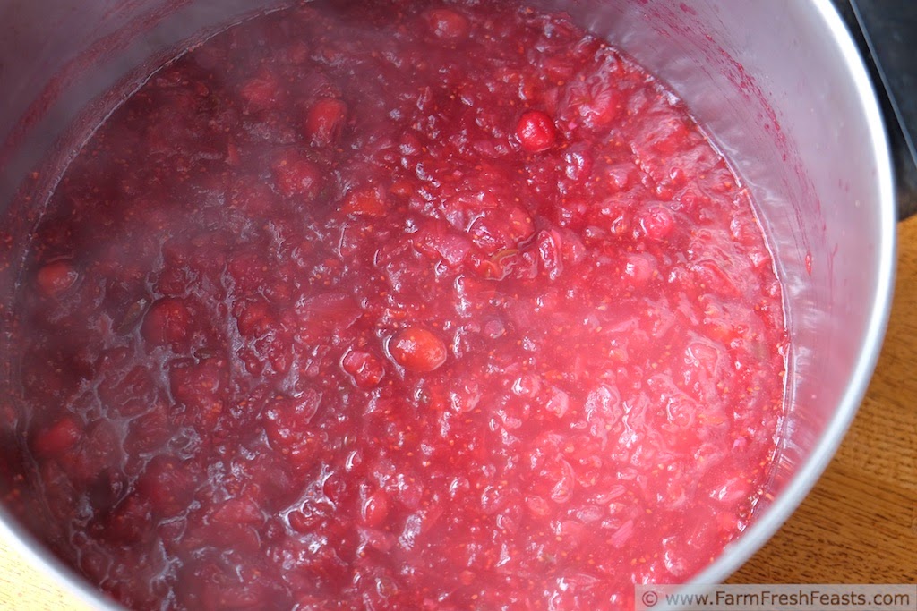 pic of a pot of bubbling cranberry salsa