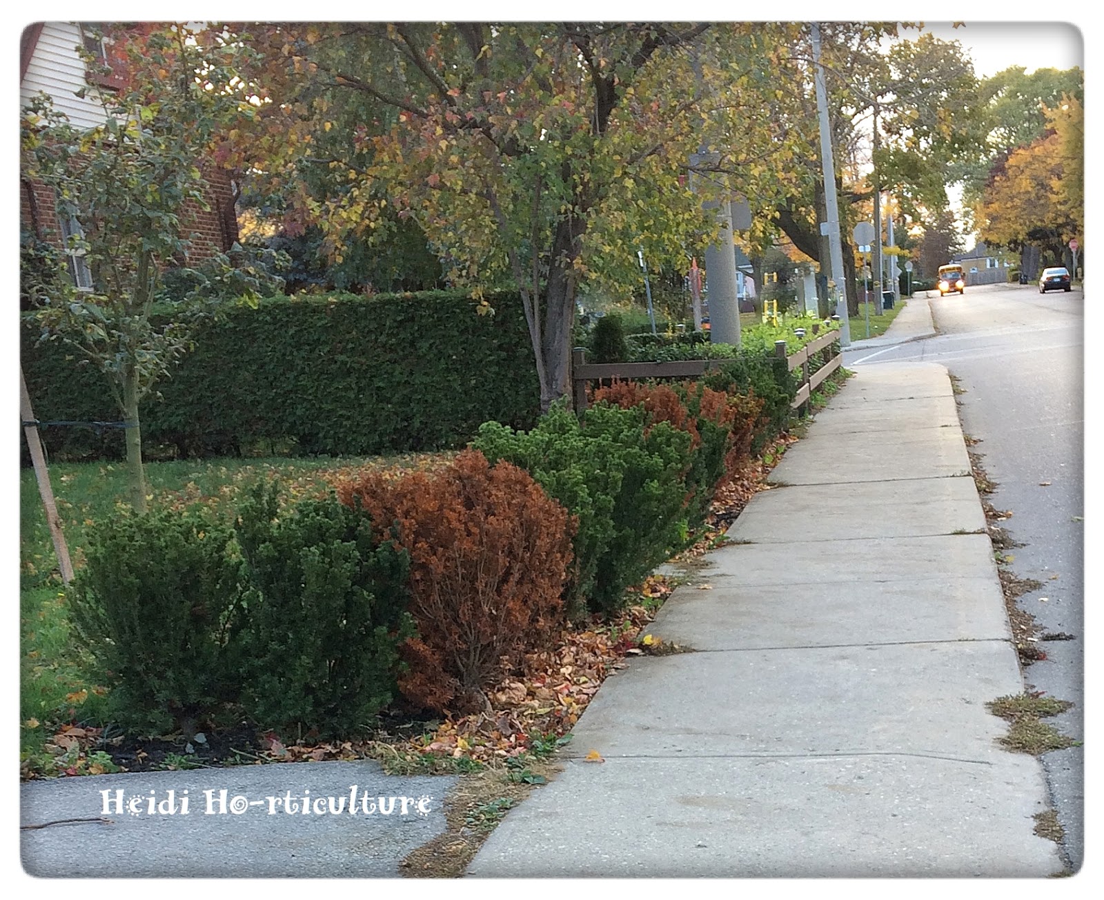 Blog 016 Jpg 1600 1200 Beautiful Gardens Hedges Landscape