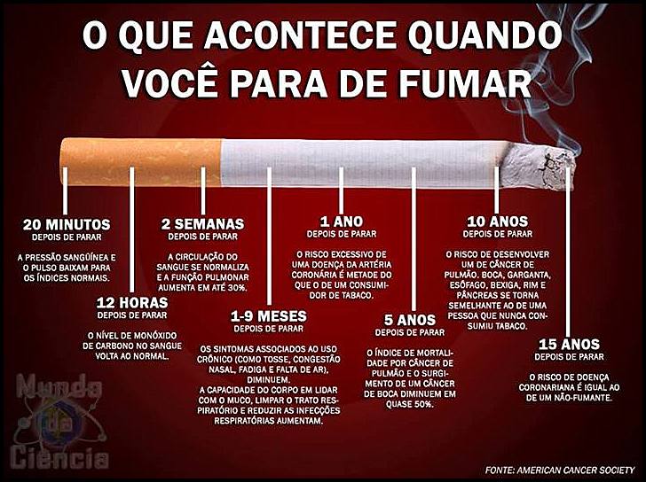 Flavilidades Cotidianas 29/8 Dia nacional de combate ao fumo Flavilidades Cotidianas 29/8 Dia nacional de combate ao fumo