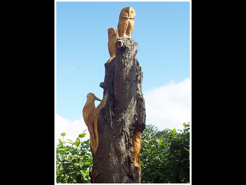 Most Amazing Facts Amazing Wood Carving ♥ Truly Incredible