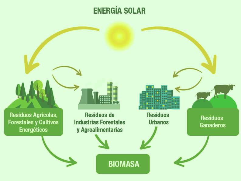Energía de Biomasa