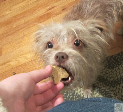 Bailey and BLUE Santa Snacks dog treats