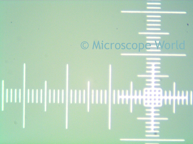 Microscope World Blog Crossline Reticle under the Microscope