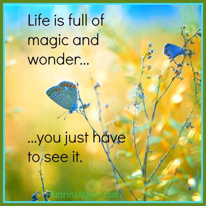 Life is magic. Wonder of you характеристики. Magic on Life. Magic your Life.