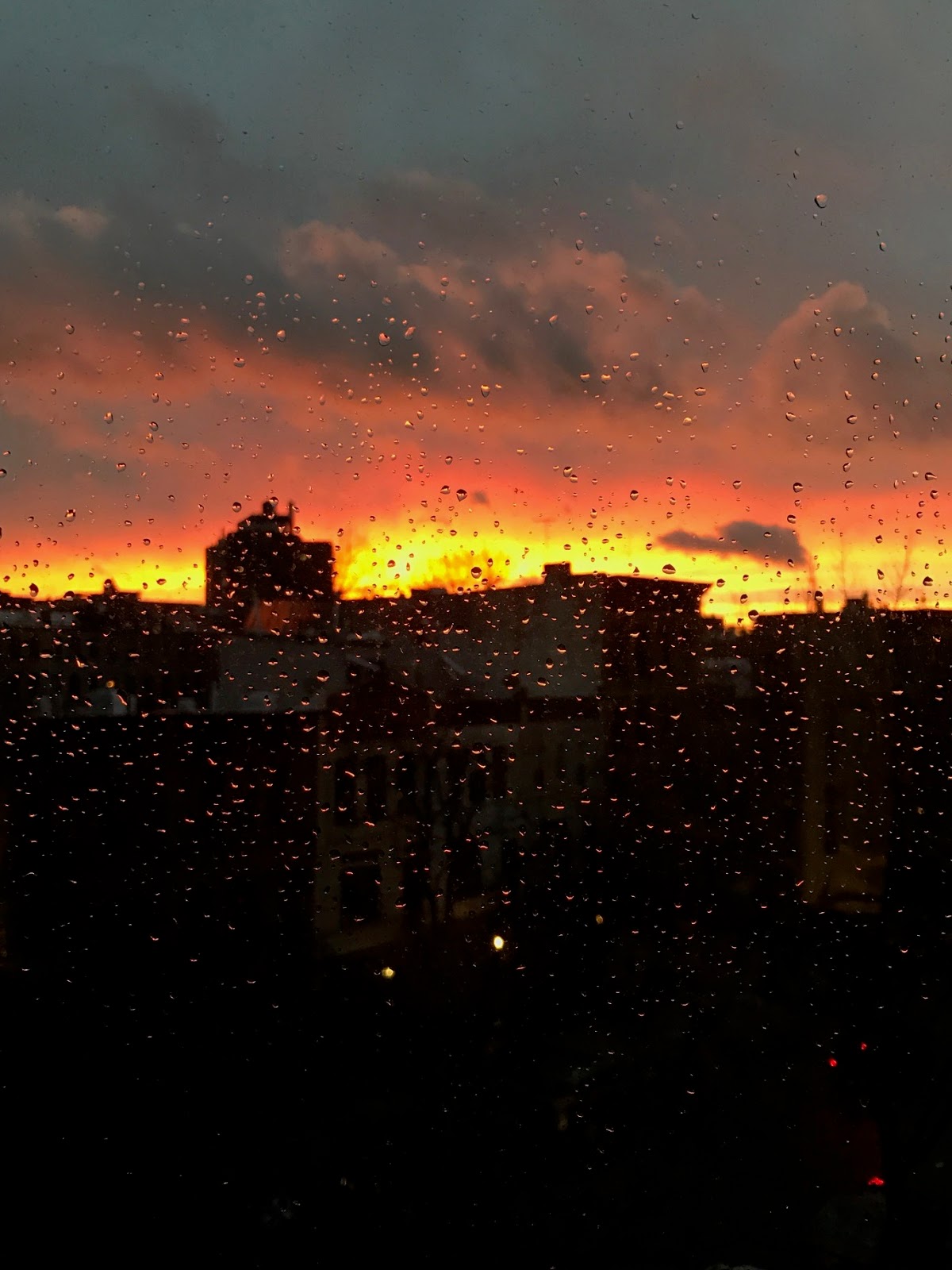 Sunny Side Up December 2016