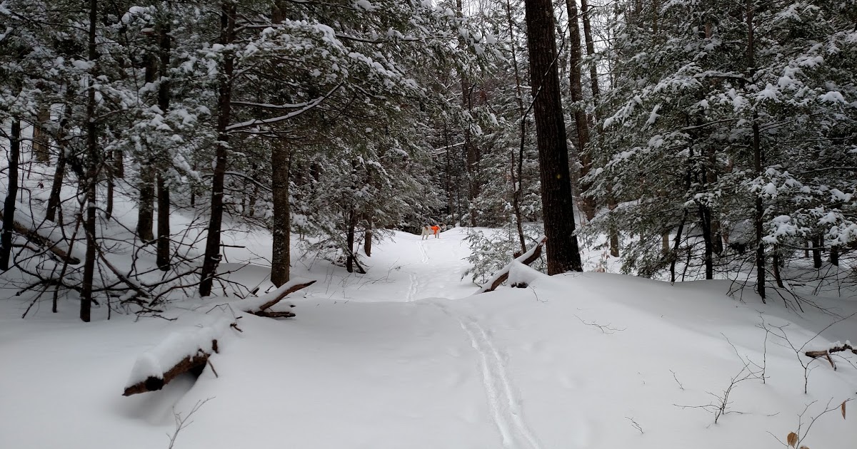 Off on Adventure Moreau Lake State Park Western Ridge Trail 2/11/17