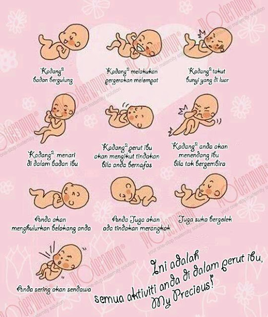 Bilakah pergerakan bayi dalam perut dapat dirasai? - Hearty . Love