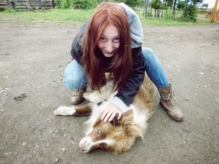 Der Kuschelbär Buddy :)