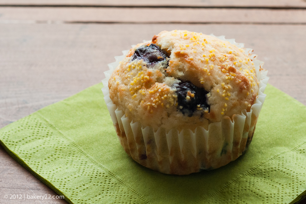 Bakery 22 What is the difference between muffin and cupcakes