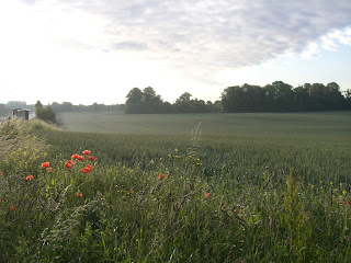 Promenad%2Bi%2BDanmark - En fin morgon