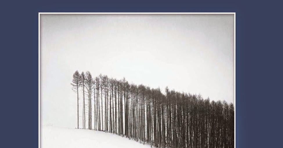 Solucionario Thomas Calculo Varias Variables 12 Edicion Pdf
