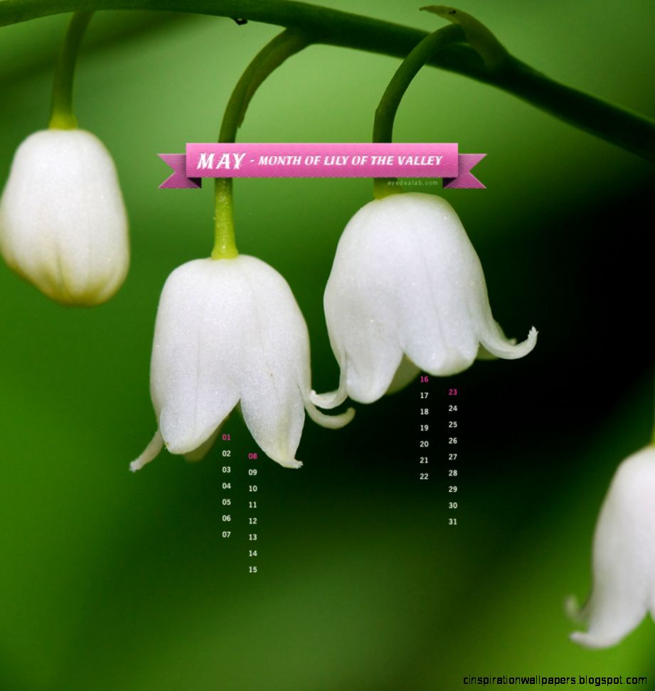 Lily Of The Valley Desktop Wallpaper Inspiration Wallpapers