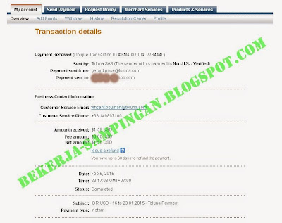 survey_online_uang_paypal_indonesia