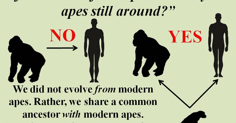 THE HUMAN RACE The Long Walk TIMELINE the-human-race-the-long-walk-timeline