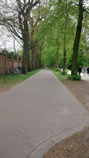 Bruges Beautiful Tree Lined Cycle Paths