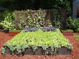 CENADIN, A.C.: ¿QUÉ ES UN JARDÍN COMESTIBLE?