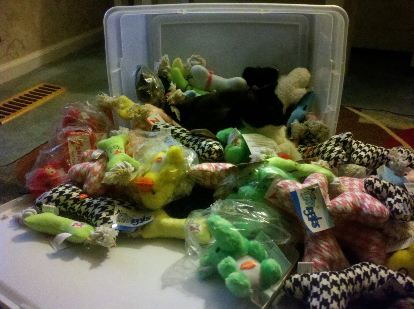 Krazy4Kritters JELLY BEAN WITH DOG TOYS