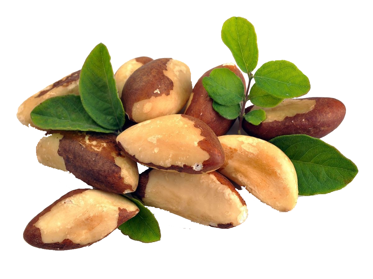 NUTRIKALP The Top Selenium Food that Fights Inflammation