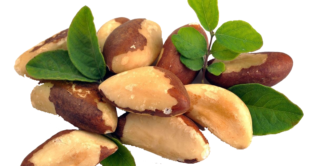 NUTRIKALP The Top Selenium Food that Fights Inflammation