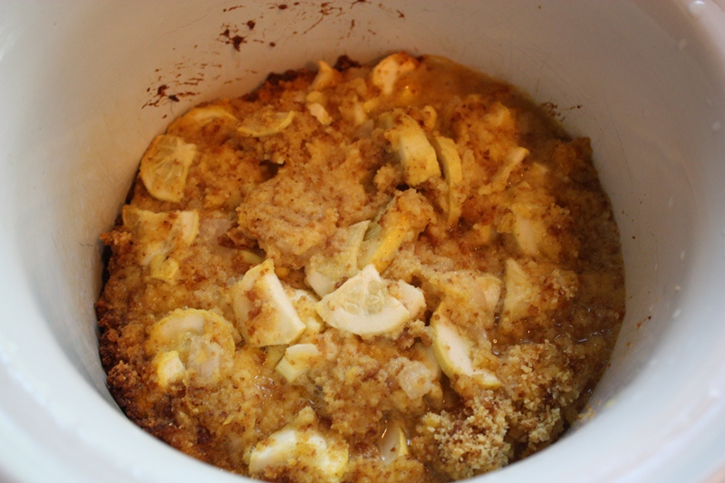 Christy Robbins Crockpot Squash Casserole