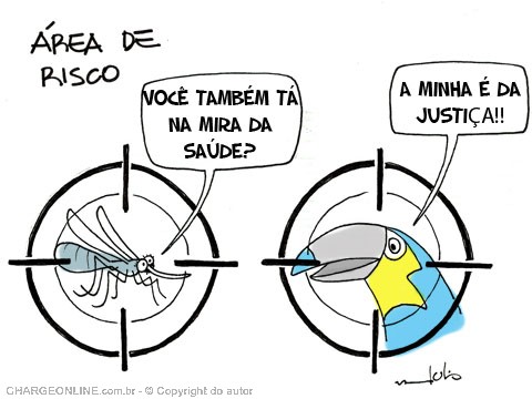 AUTO_julio.jpg (480×360)