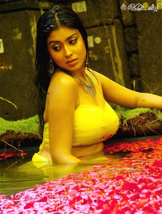 Shreya white bikini pic - (3) - Shreya pics