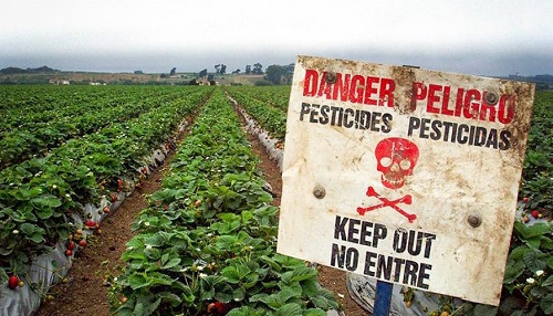 Dampak negatif penggunaan pestisida kecuali