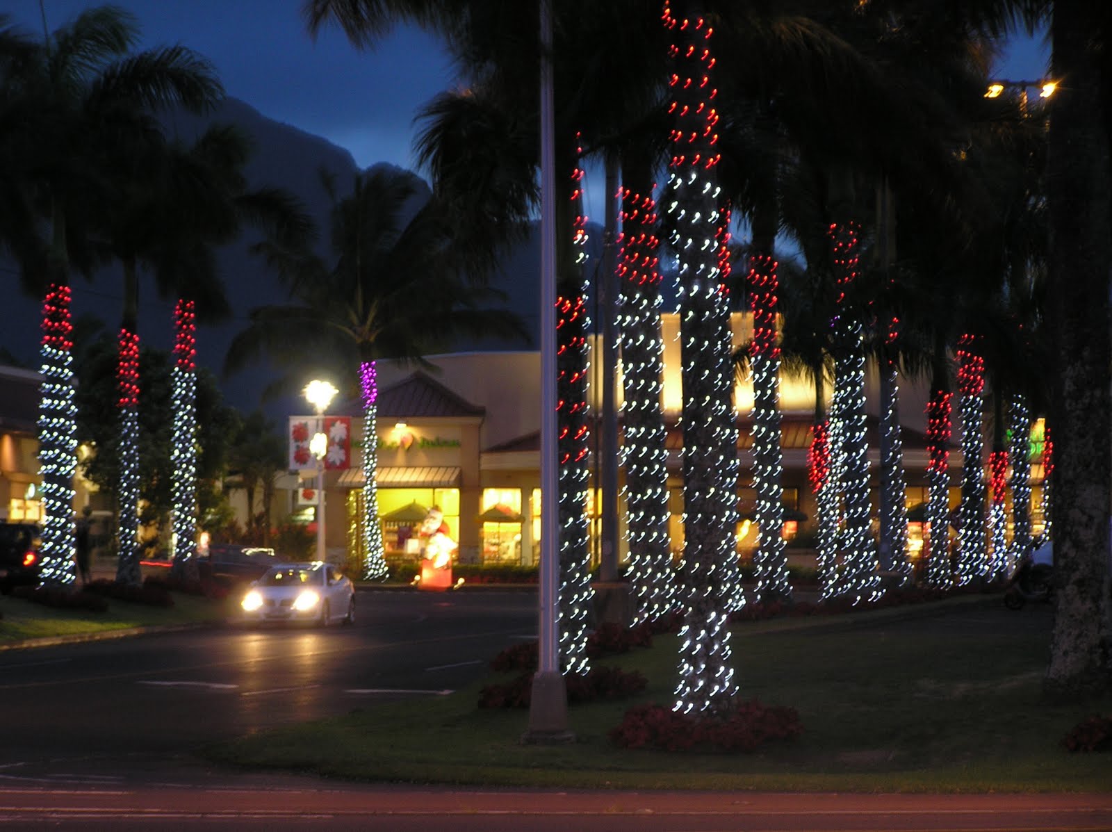 The Travelers Two Christmas in Kauai