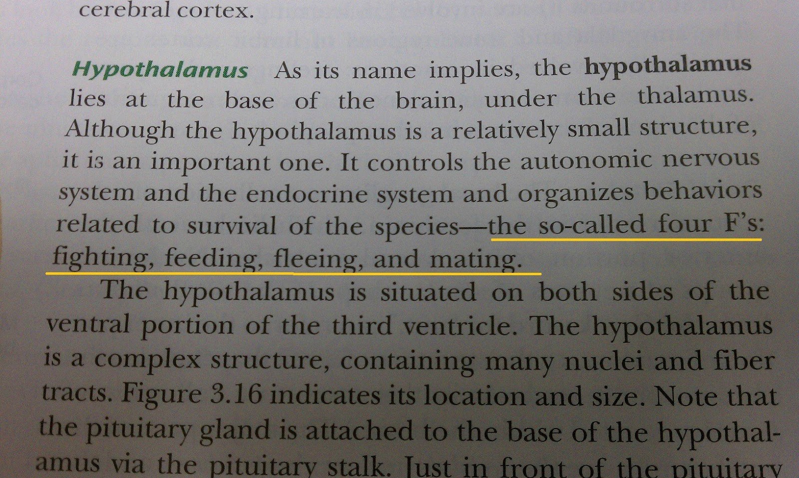 Stupid Is A Five-Letter Word: May 2012
