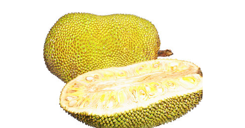 Erek Erek Buah Nangka 2d 3d 4d Menurut Buku Mimpi Erek Erek