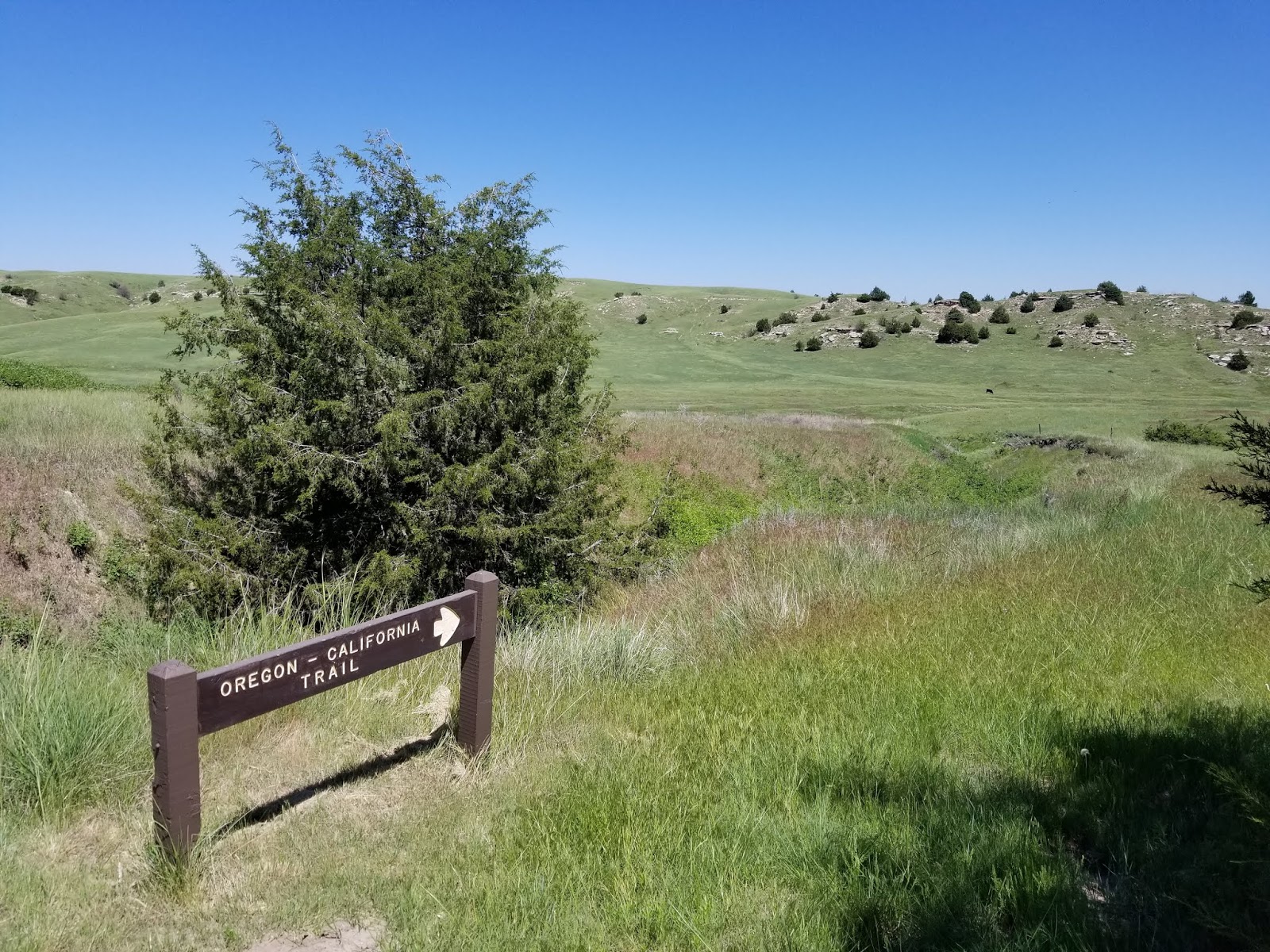 Wilderness Wanderings Oregon Trail Windlass Hill Ash Hollow