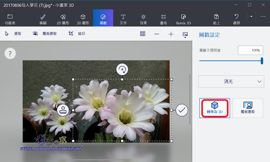 小畫家 3D 簡單完成照片去背處理