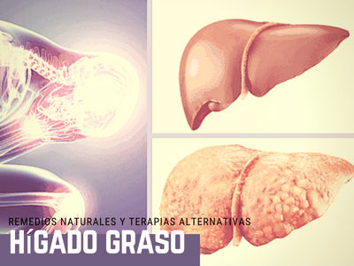 molestias del higado graso molestias higado graso higado graso