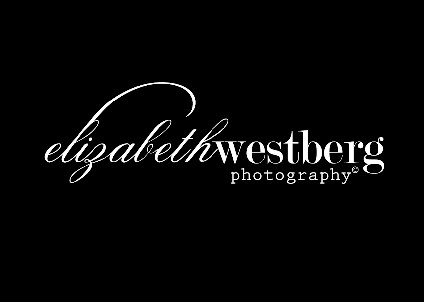 Elizabeth Westberg Photography