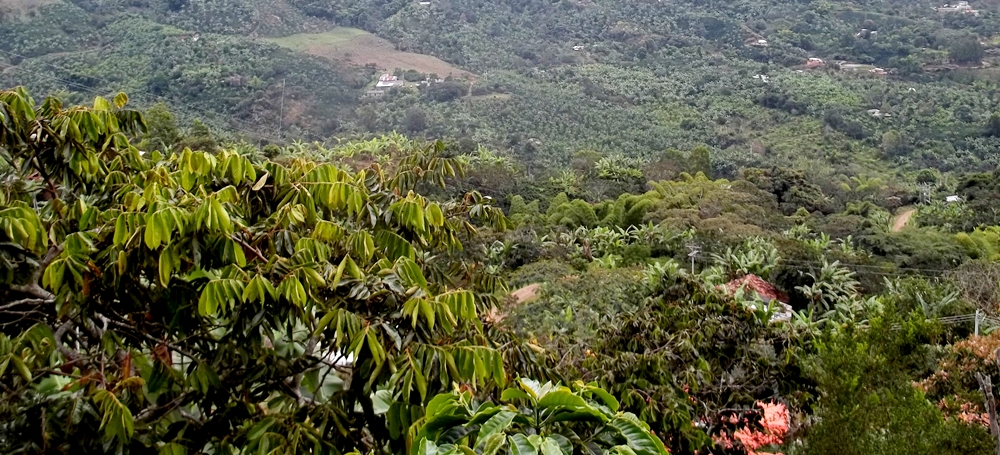 VEREDA CHILCAL BAJO LA UNIÓN NARIÑO: (HISTORIA) VEREDA CHICAL BAJO