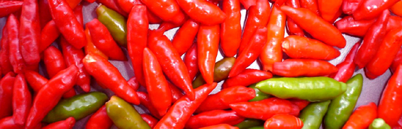 Flavors of Brazil: PEPPERS OF BRAZIL - Malagueta Pepper (Pimenta Malagueta)