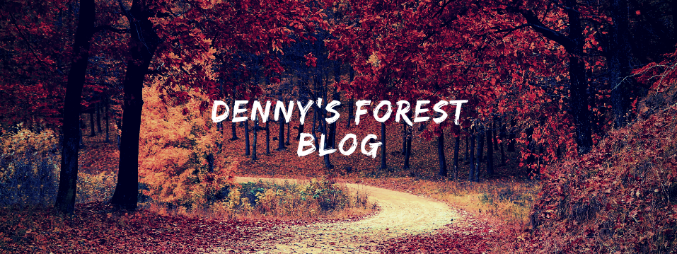 Denny's Forest Blog (English)