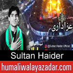https://www.humaliwalyazadar.com/2018/09/sultan-haider-nohay-2019.html