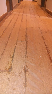 enchuletado de grapia 1 enchuletado de grapia 1