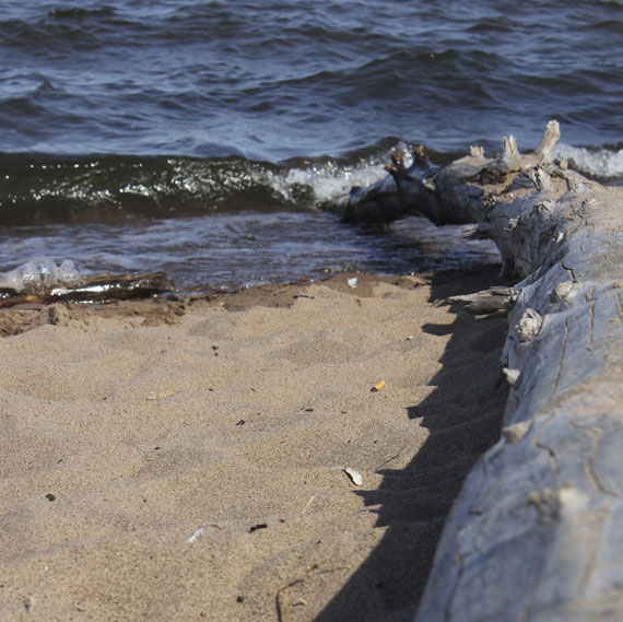 365 Projects Gathering Driftwood On The Beach In Duluth, Minnesota