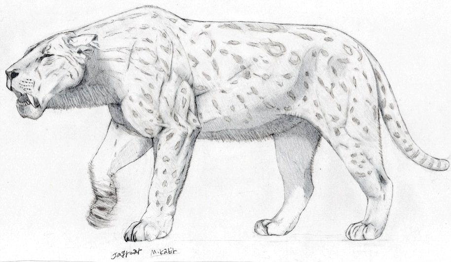 Säbelzahntiger-Blog