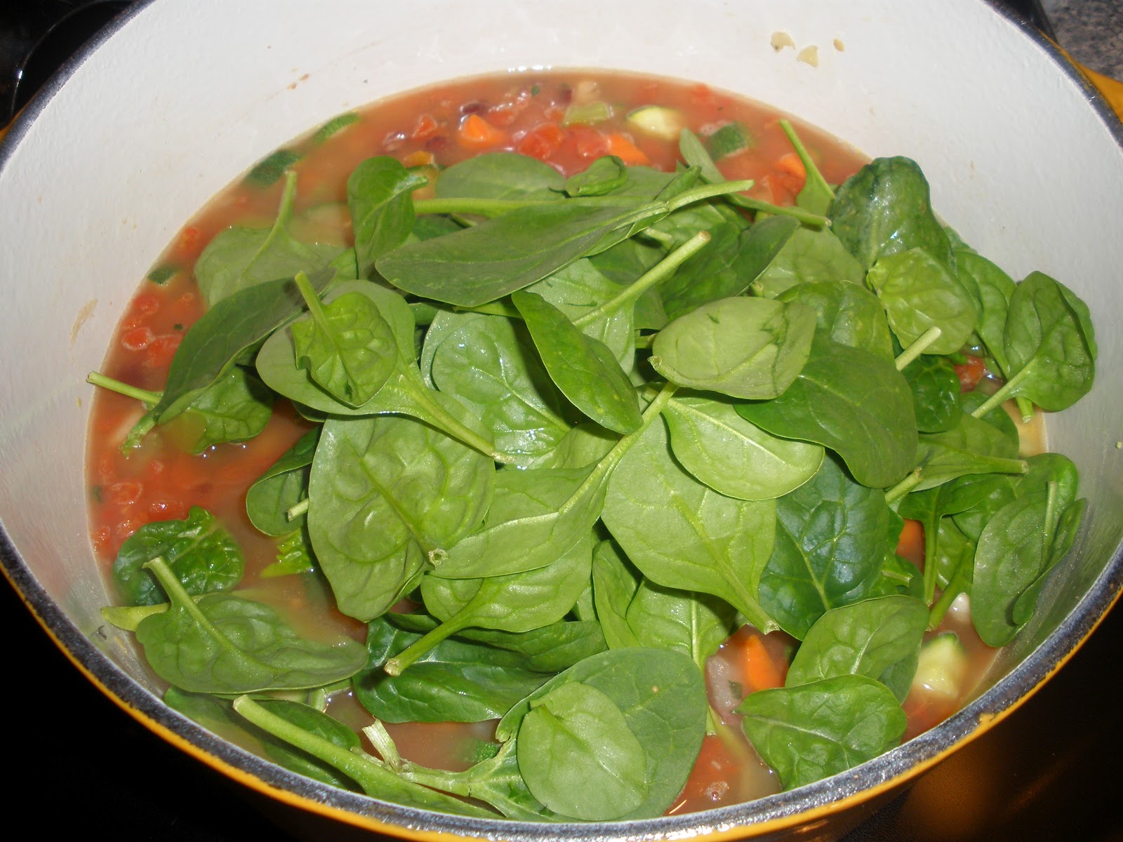 MishMosh and Good Nosh Tuscan Vegetable Bean Soup