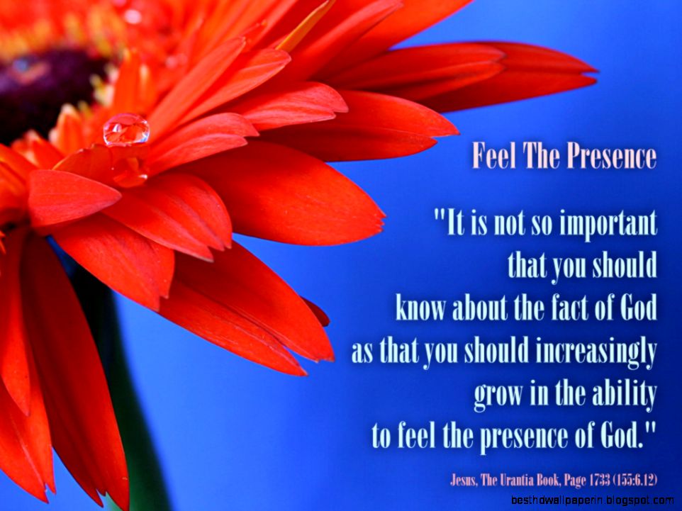 Download Screensavers