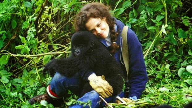 4.  डायन फोसी  (Dian Fossey)