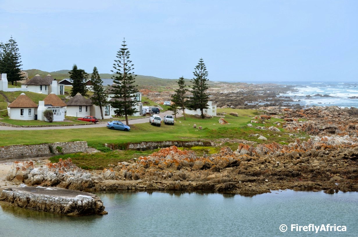 Port Elizabeth Daily Photo Willows Resort coastline