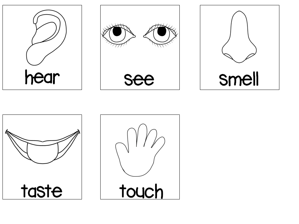 Five Senses Pictures Printables